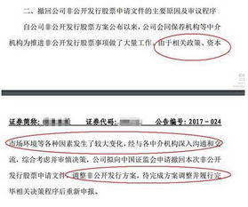 新規收緊減持，定增市場陷寒冬 撤回、終止、破發與融資驟降，非融資性擔保業務迎來考驗